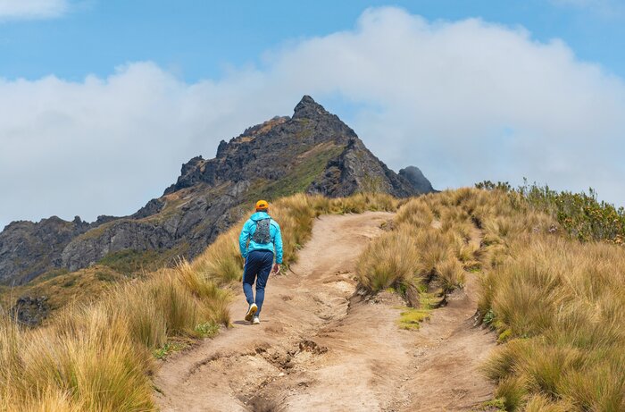 Pichincha volcano is just one of the three volcanoes you'll hike