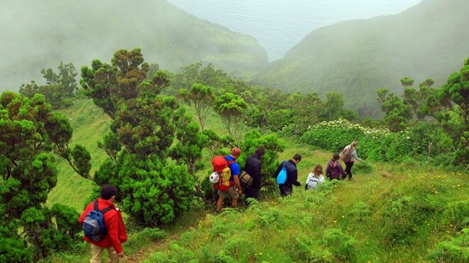 Half-Day Hiking Activity in Terceira