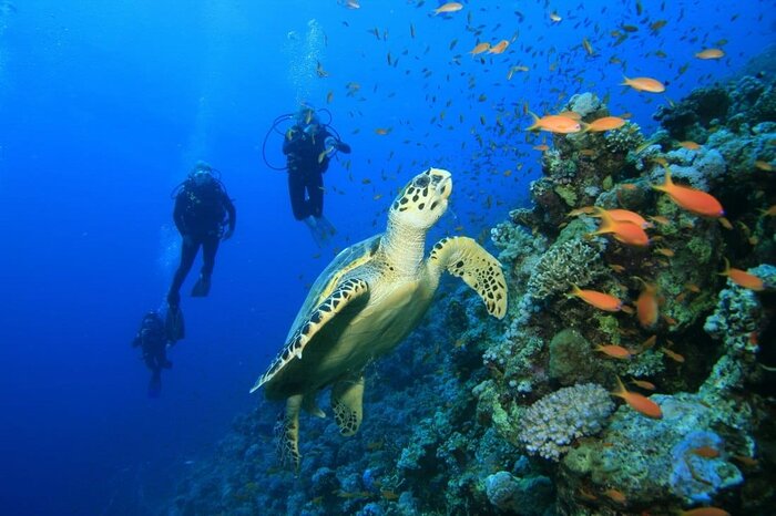 Zanzibar Beach Excursions