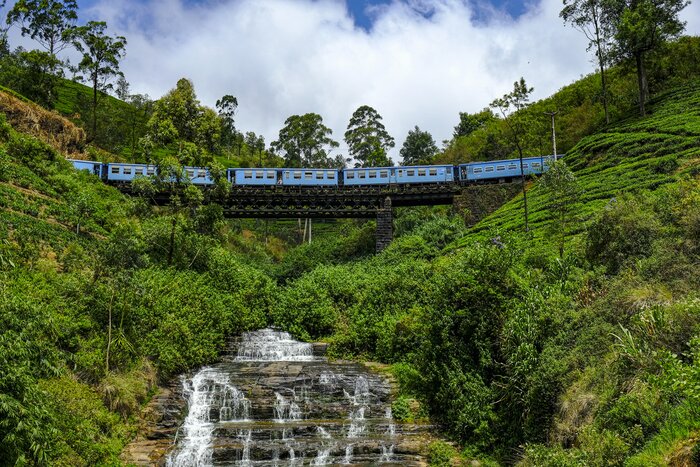 Journey on scenic trains through Sri Lanka during this nine-day tour