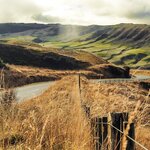 The drive toward Hawkes Bay takes you to a landscape of world-class wineries and independent farms