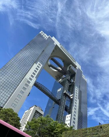 Osaka Exploration: Castle, Cuisine, and Sky-high Views (full day tour by public transport) 