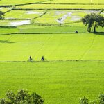 See the greener side of Vietnam at Chau Doc