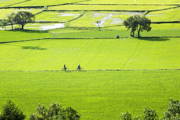See the greener side of Vietnam at Chau Doc