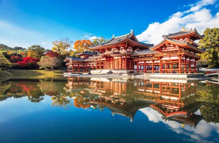 Guided Day tour to a Tea Farm in Uji by public transport 