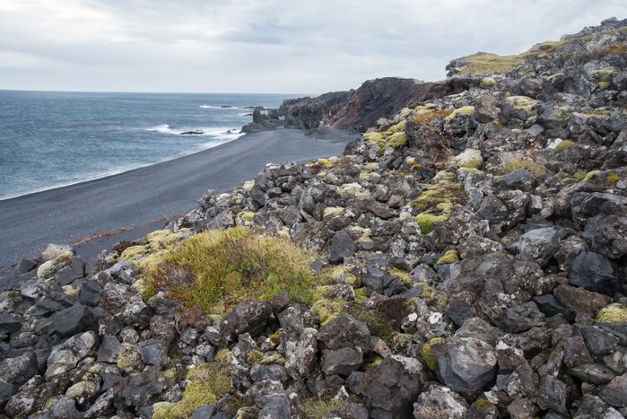 Djúpalónssandur Black Sand Beach