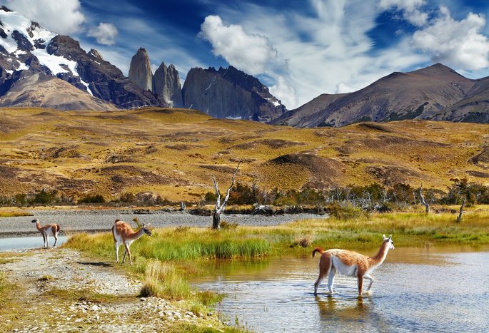 Hike in Torres del Paine National Park