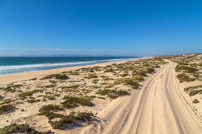 Surf and sand at Comporta Beach, Portugal