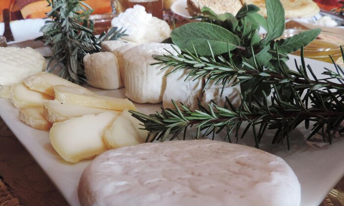 Goat Cheese Tasting Experience at Domaine de La Pommeraie