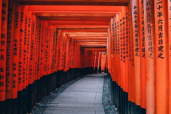 Day tour by public transport in Kyoto: Golden Pavilion，Fushimi Inari Shrine, Traditional Arts Performance,  Pontocho Alley 