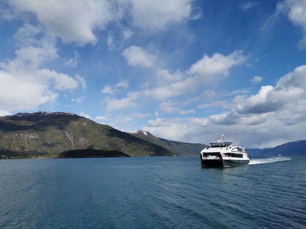 Wildlife and Glacier Cruise