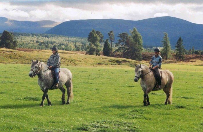 Rothiemurchus by Horseback Trek