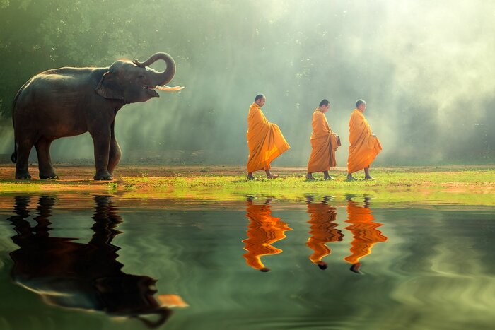On this itinerary, you'll spend time with both elephants and monks