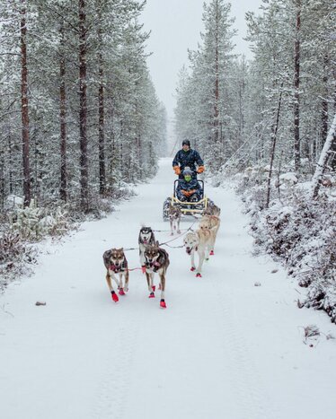 Early Winter Husky Tour 