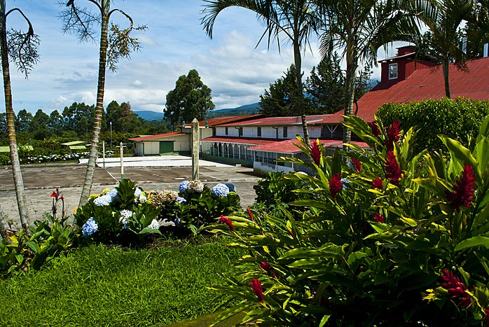 Day Trip to Doka Coffee Plantations & La Paz Waterfall Gardens