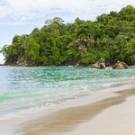 How to Get from Monteverde to Manuel Antonio National Park