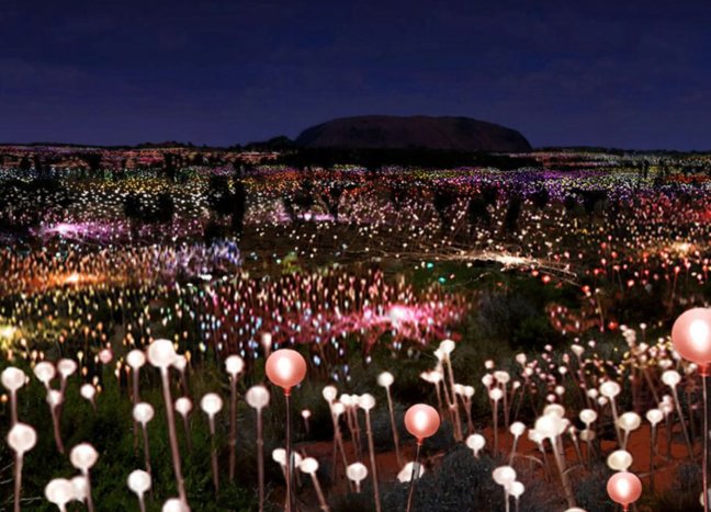 A night at the Filed of Light Dinner