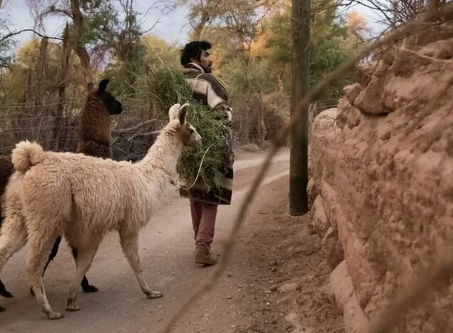 (photo courtesy of Turi Kunza)