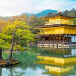 Discover Japan's Golden Pavillion or Kinkaku-ji temple in Kyoto