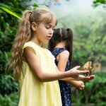 Take a family hike at Ecuador's Mindo Cloud Forest