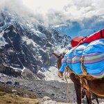 Conquer the Salkantay Trek in just four days, culminating at the UNESCO-listed Machu Picchu