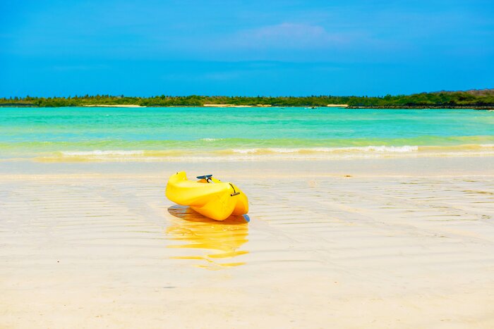 Spend a morning kayaking in the turquoise waters of Tortuga Bay on Isla Santa Cruz