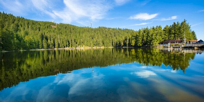 A Day Trip from Strasbourg to Baden-Baden & the Black Forest in Germany