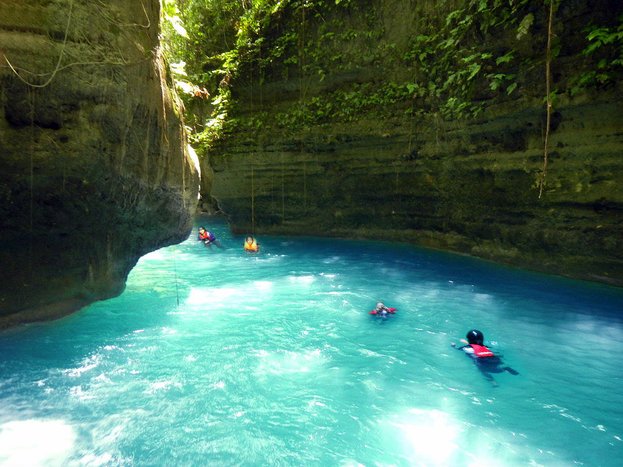 Snorkeling with Sardines in Moalboal and Canyoneering in Kawasan Falls