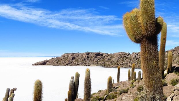 Uyuni Saltflat and Cactus Island - Uyuni Tour Day 3