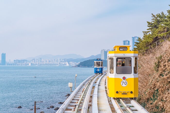 Full Day Haedong Yonggungsa and Gwangalli Night Food Tour