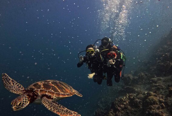 Moalboal Scuba Diving Adventure