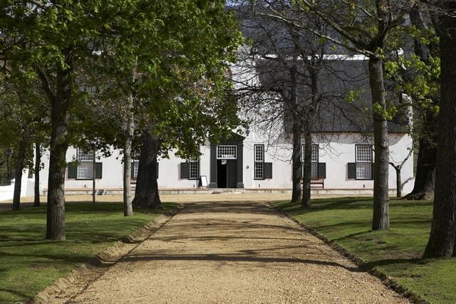 Discover Groot Constantia