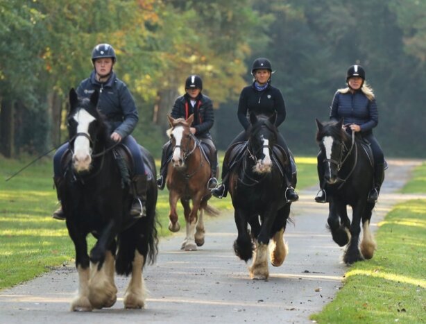 Horse riding - 1 hour trail ride