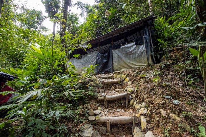 Trek Leuser Park (overnight in tent) day 1