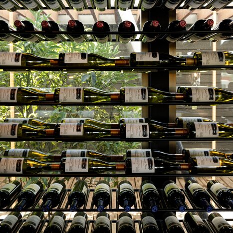 Visit to the Santa Ema Wineyard - with winetasting