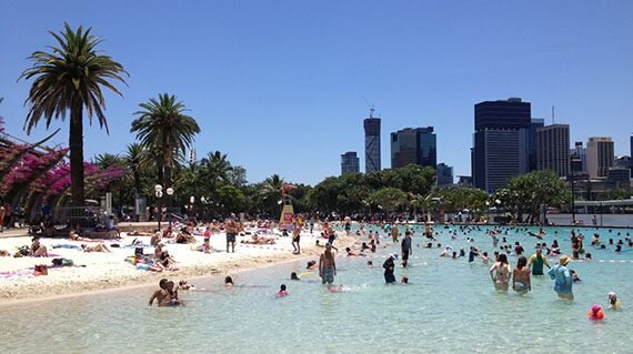 Private Brisbane & Lone Pine Day Trip