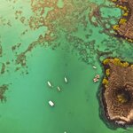 Island hop in the Galápagos to see all there is of the landscapes and endemic wildlife