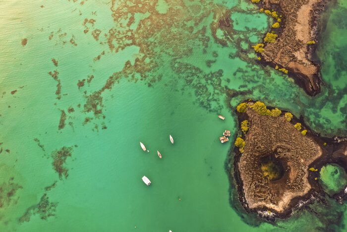 Island hop in the Galápagos to see all there is of the landscapes and endemic wildlife