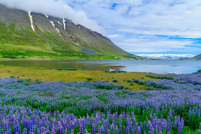 Isafjordur in the West Fjord Region, Iceland
