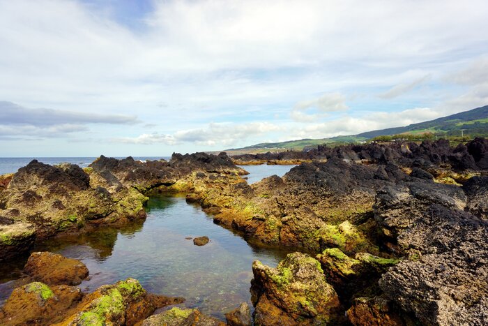 Check out the natural swimming pools in Biscoitos on Terceira