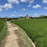 Photo taken by Matteo R