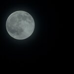 Photo taken by Elaine K