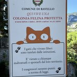 Photo taken by Joe O