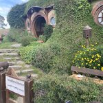 Photo taken by Walt N