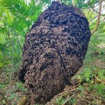 Photo taken by Dawne D