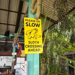 Photo taken by Linda W