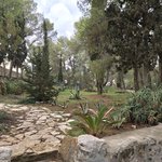 Photo taken by Patricia L