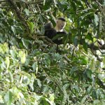 Photo taken by Brett F