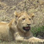 Photo taken by Kristin M