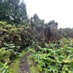 Photo taken by Isabela V